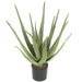 22" IFR Plastic Aloe Artificial Plant w/Pot -Green (pack of 2) - AR102000