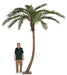 14' Curved Phoenix Silk Palm Tree w/Metal Base -Green - P127120