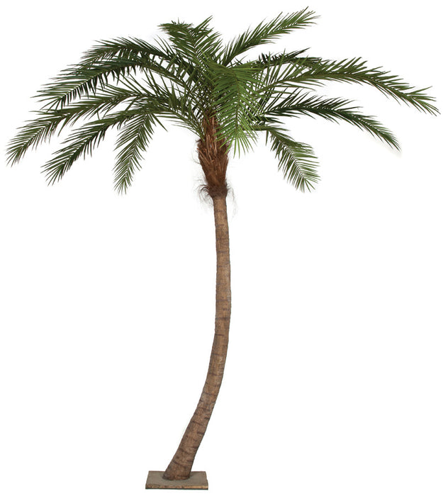 14' Curved Phoenix Silk Palm Tree w/Metal Base -Green - P127120