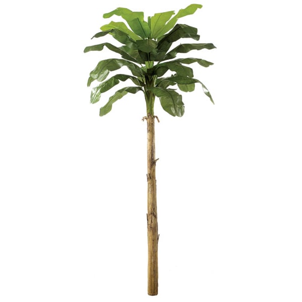 15' Banana Silk Palm Tree -Green - P141350