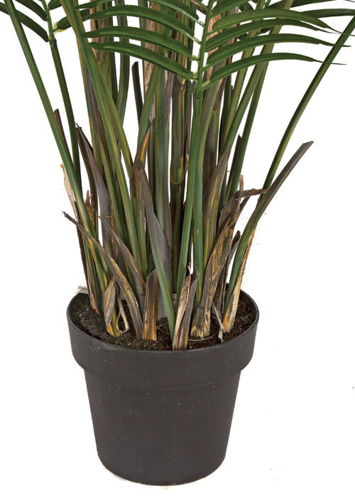 6' Areca Silk Palm Tree w/Pot -Green - P141620