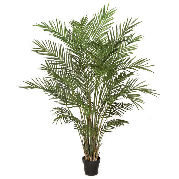 6' Areca Silk Palm Tree w/Pot -Green - P141620