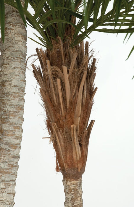 8'6" Phoenix Double Trunk Silk Palm Tree w/Pot -Green - P142220