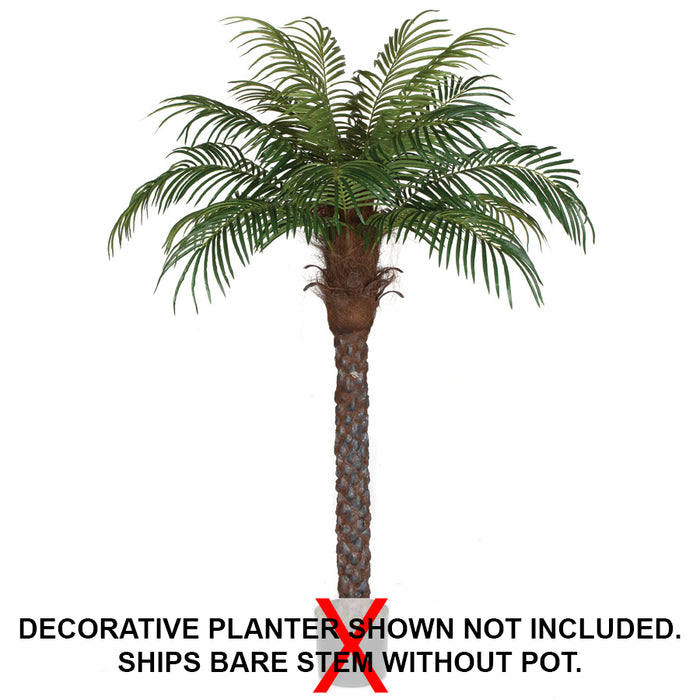6' Phoenix Date Silk Palm Tree -Green - P150560