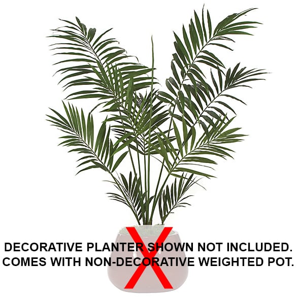 6'6" Kentia Silk Palm Tree w/Pot -Green - P2420