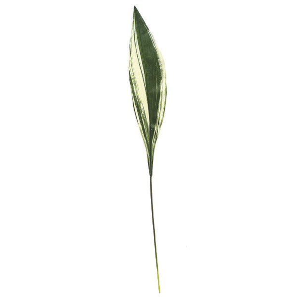 32" Real Touch Silk Dracaena Leaf Stem -Green/White (pack of 24) - P60650