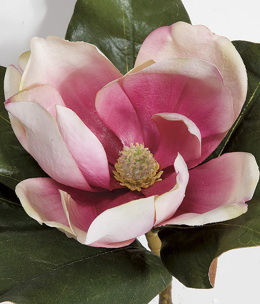 31" Magnolia Silk Flower Stem -Beauty (pack of 6) - P70653