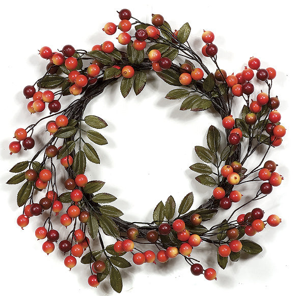 22" Crabapple Artificial Hanging Wreath -Red/Fall (pack of 2) - P72320