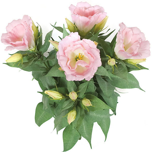 13" IFR Artificial Lisianthus Flower Bush -Light Pink (pack of 12) - PR11166-0PK/LT