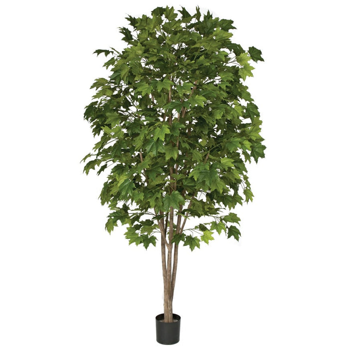 7'6" Sugar Maple Silk Tree w/Pot -Green - W140160