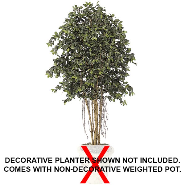 6'6" Ficus Silk Tree w/Pot & Air Roots -2,880 Leaves -Green - W2610