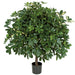3'7" IFR Schefflera Ball Artificial Tree w/Pot -Green/Yellow - WR151000
