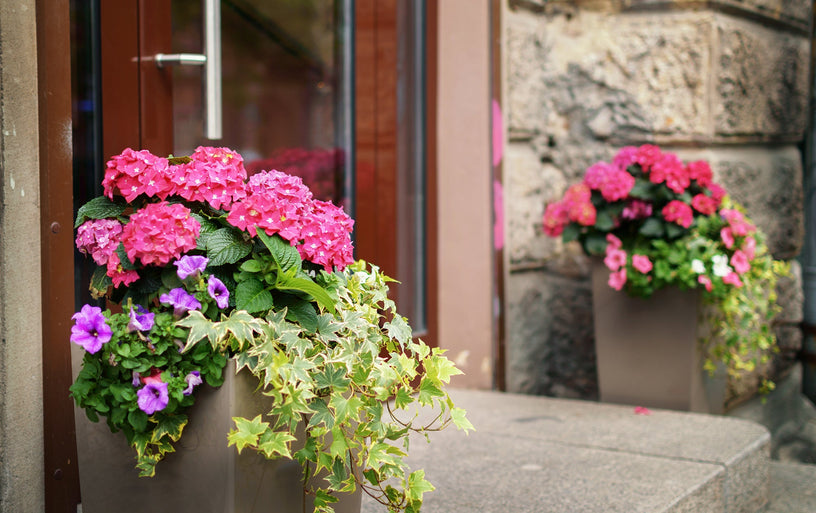 4 Small Front Porch Decorating Ideas
