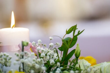 Regulations & Fire-Retardant Artificial Plants - Silks Are Forever