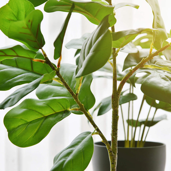 Close-up of a fake plant in a well-lit bedroom.