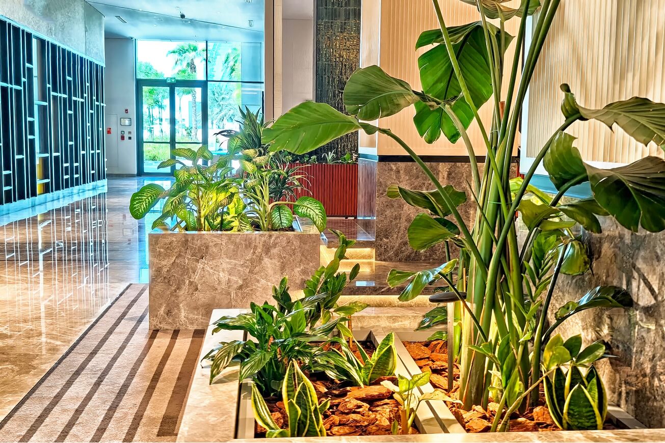 Mixed greenery planter with snake plants, bird of paradise, and philodendron in marble lobby display.