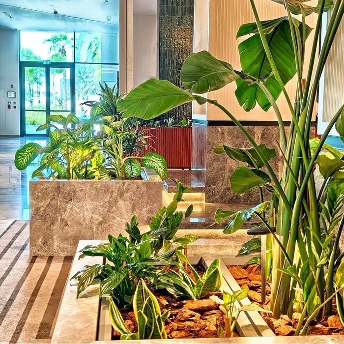 Mixed greenery planter with snake plants, bird of paradise, and philodendron in marble lobby display.