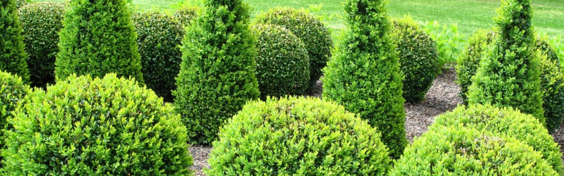 Artificial topiary tree planted in a decorative container