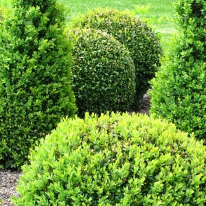 Artificial topiary tree planted in a decorative container