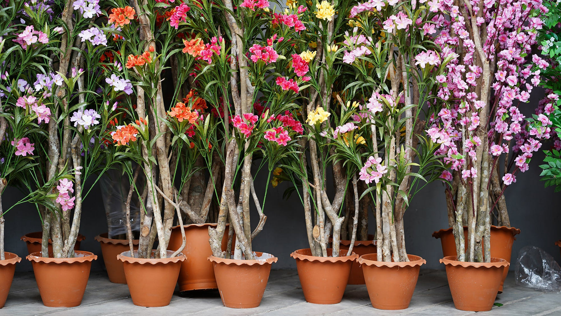 Potting artificial plants | SilksAreForever
