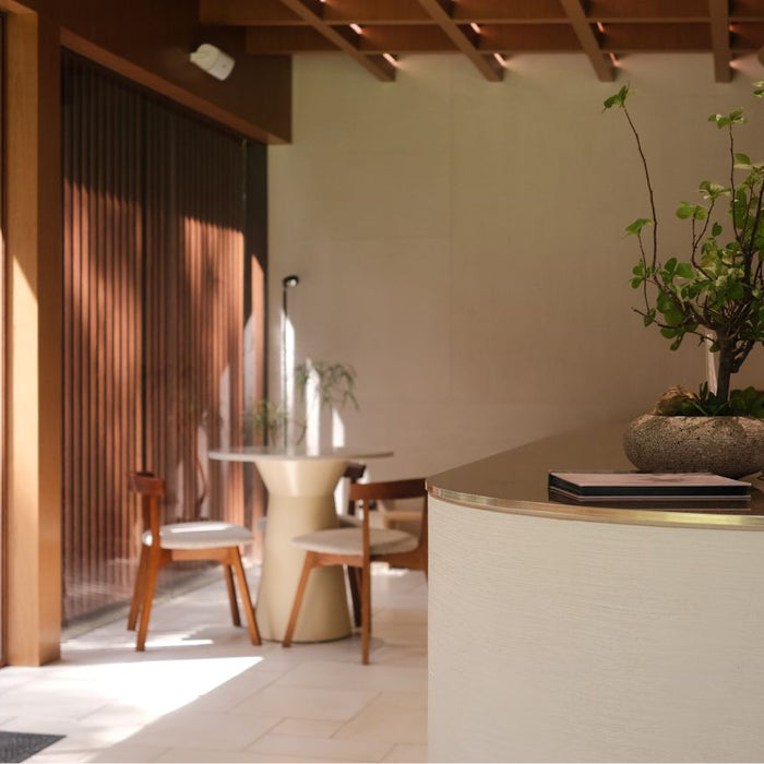 How To Integrate Biophilic Design Into Your Space