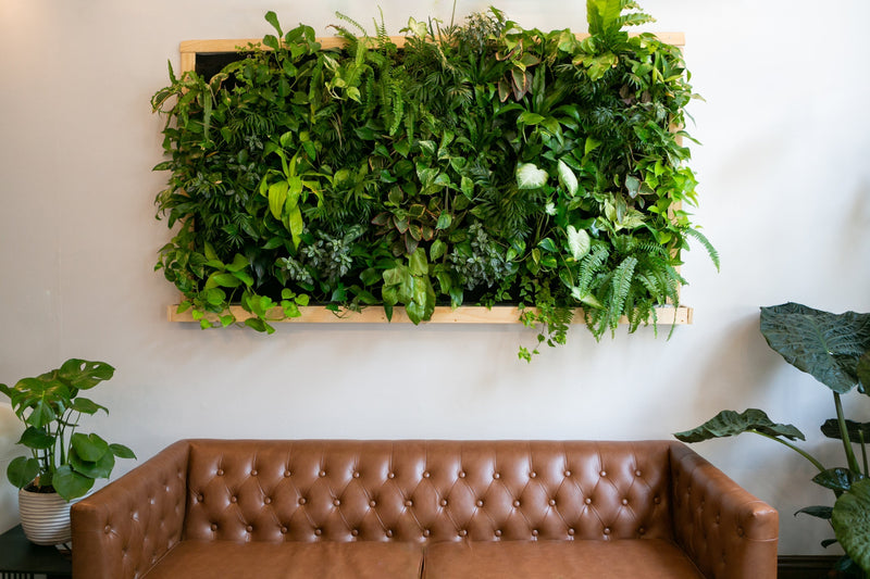 How To: DIY Greenery Wall | DIY Faux Greenery Wall in 6 Steps | Silks Are  Forever