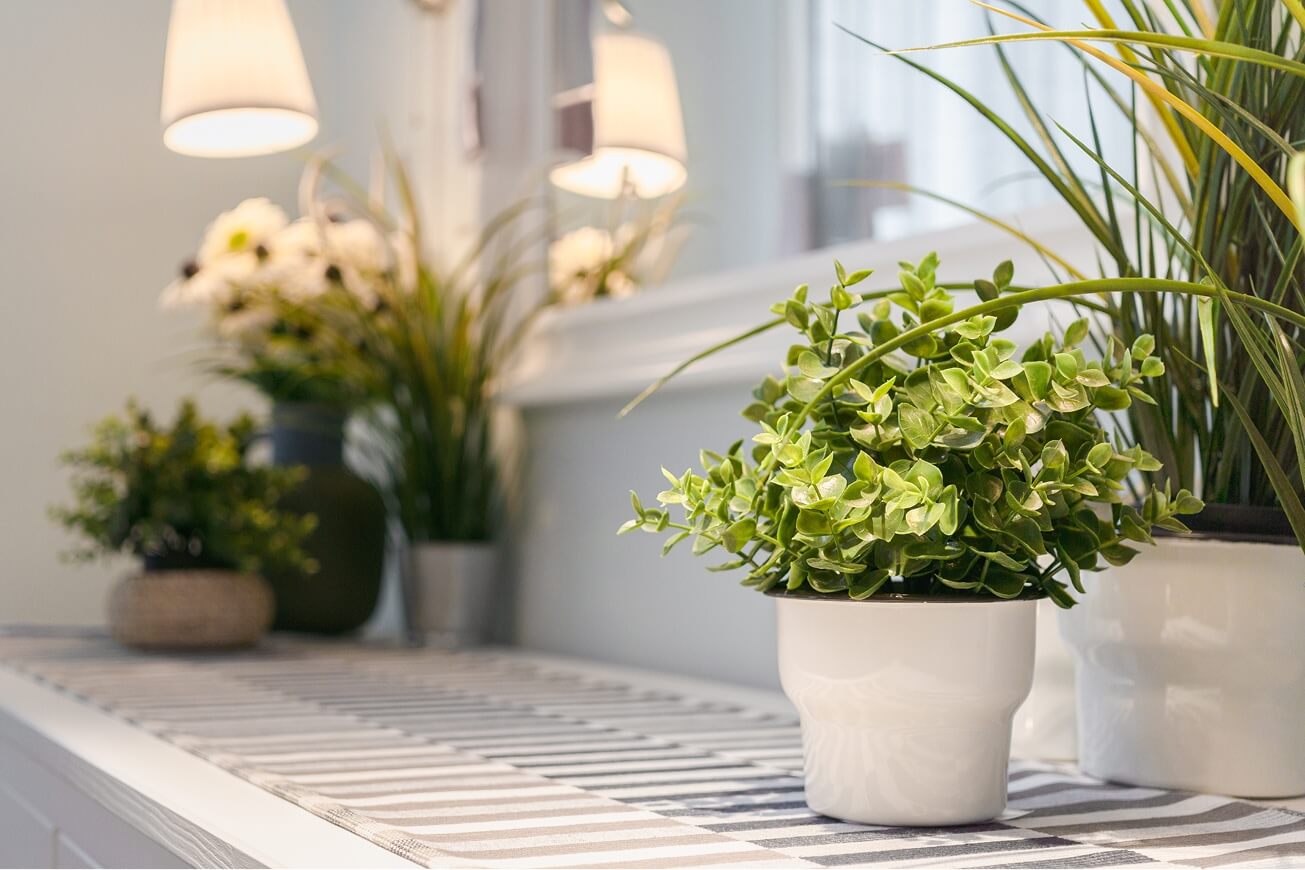 Artificial potted plants on a shelf in a bright residential interior