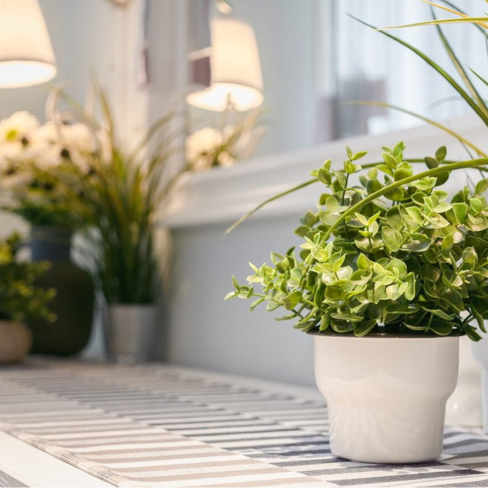 Artificial potted plants on a shelf in a bright residential interior