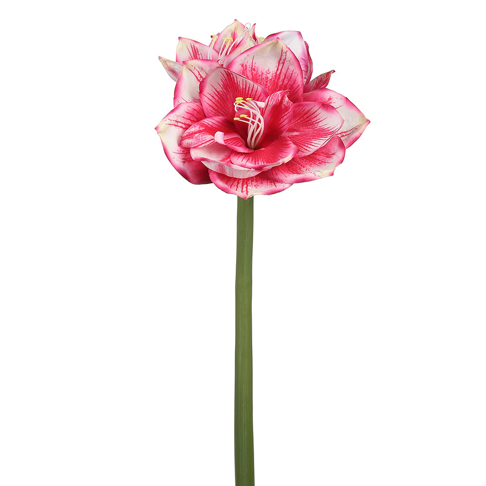 Artificial Amaryllis Stems Shop Silk Amaryllis Flower Stems Online at