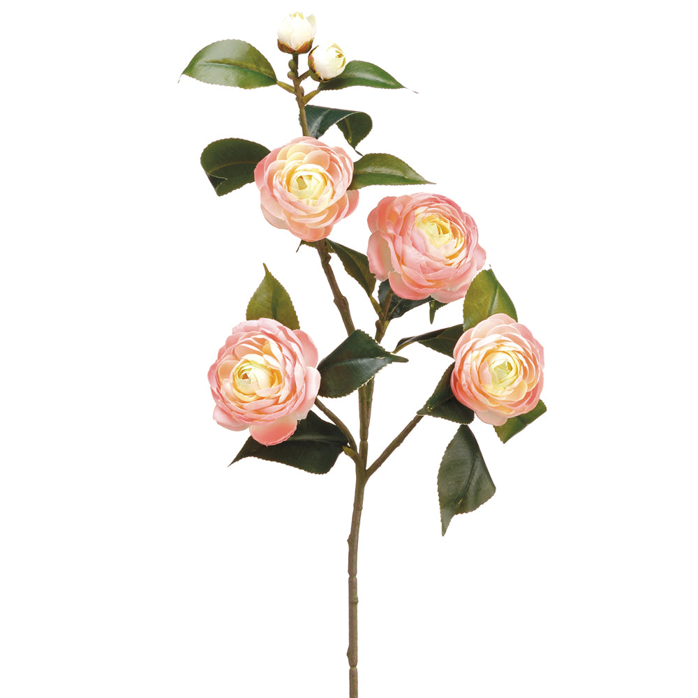 Camellia Stem