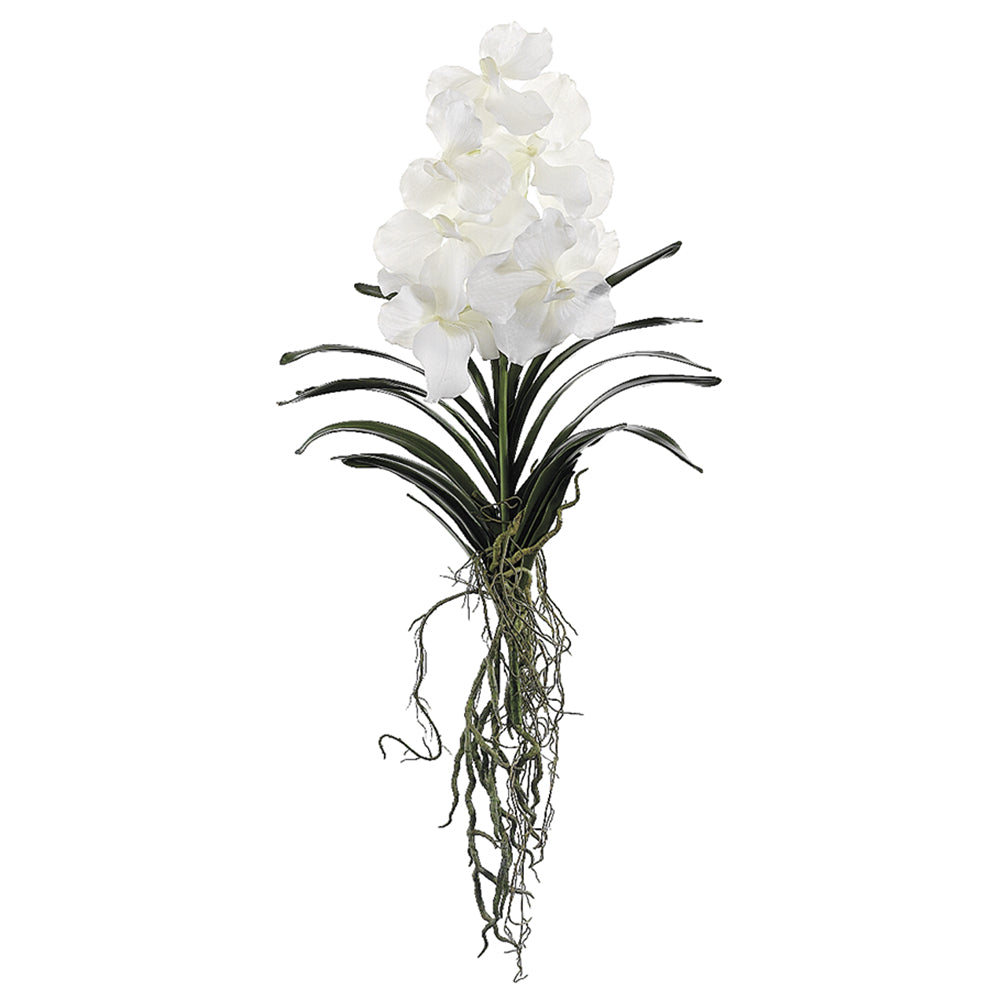 Orchid w/Leaf Stem