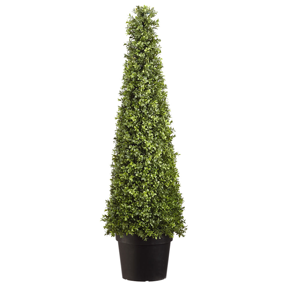 Cone Topiary | Discover Topiary Cone Plants Online at Silks Are Forever