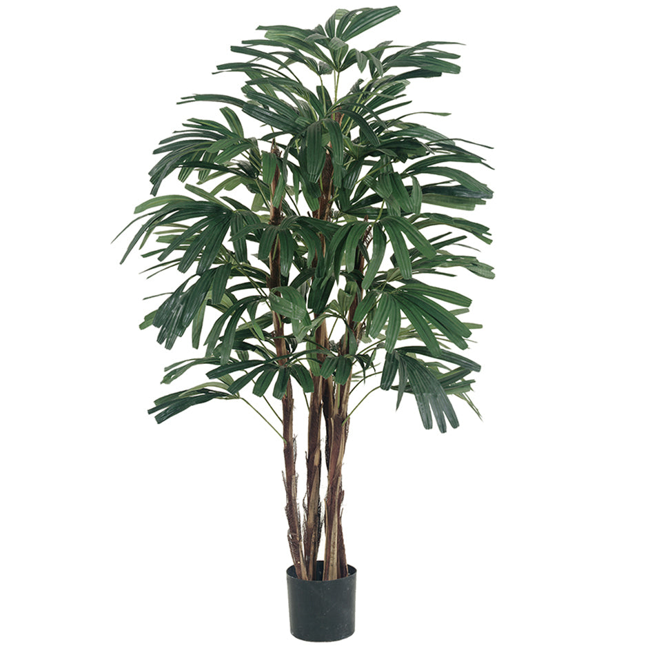 Silk Rhapis Palm Trees Order Artificial Silk Palm Trees from Silks Are Forever