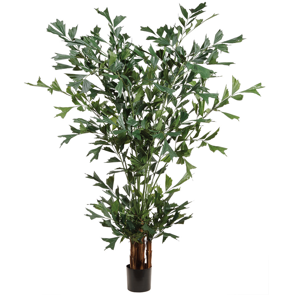 Artificial Fishtail Palm Shop Silk Fishtail Palm Trees Online at