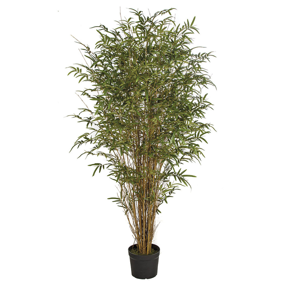 Silk Bamboo Palms Find Faux Bamboo Palms for Sale Online at Silks Are