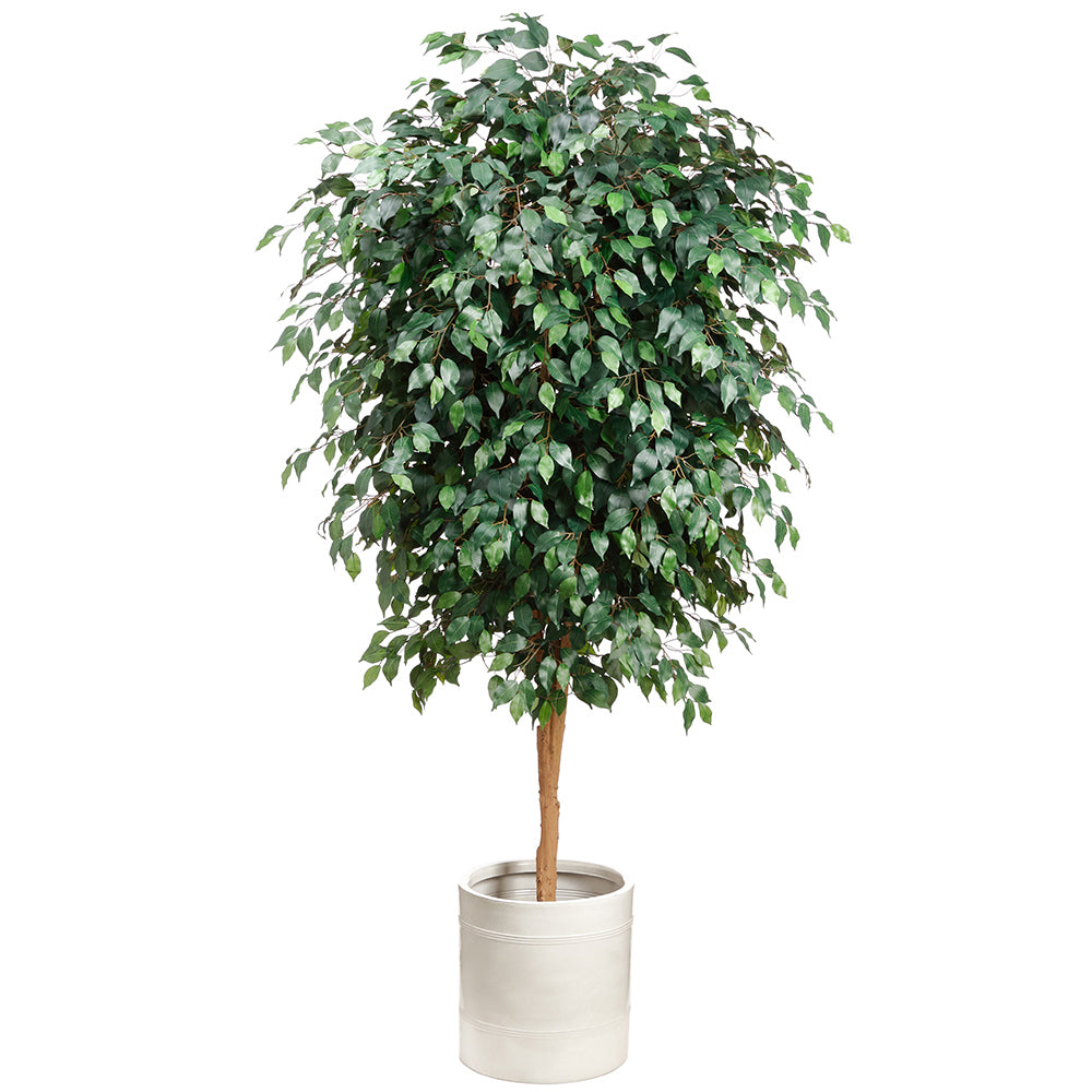 Artificial Ficus Silk Tree 6 feet - Fake Tree Indoors - Forever Leaf