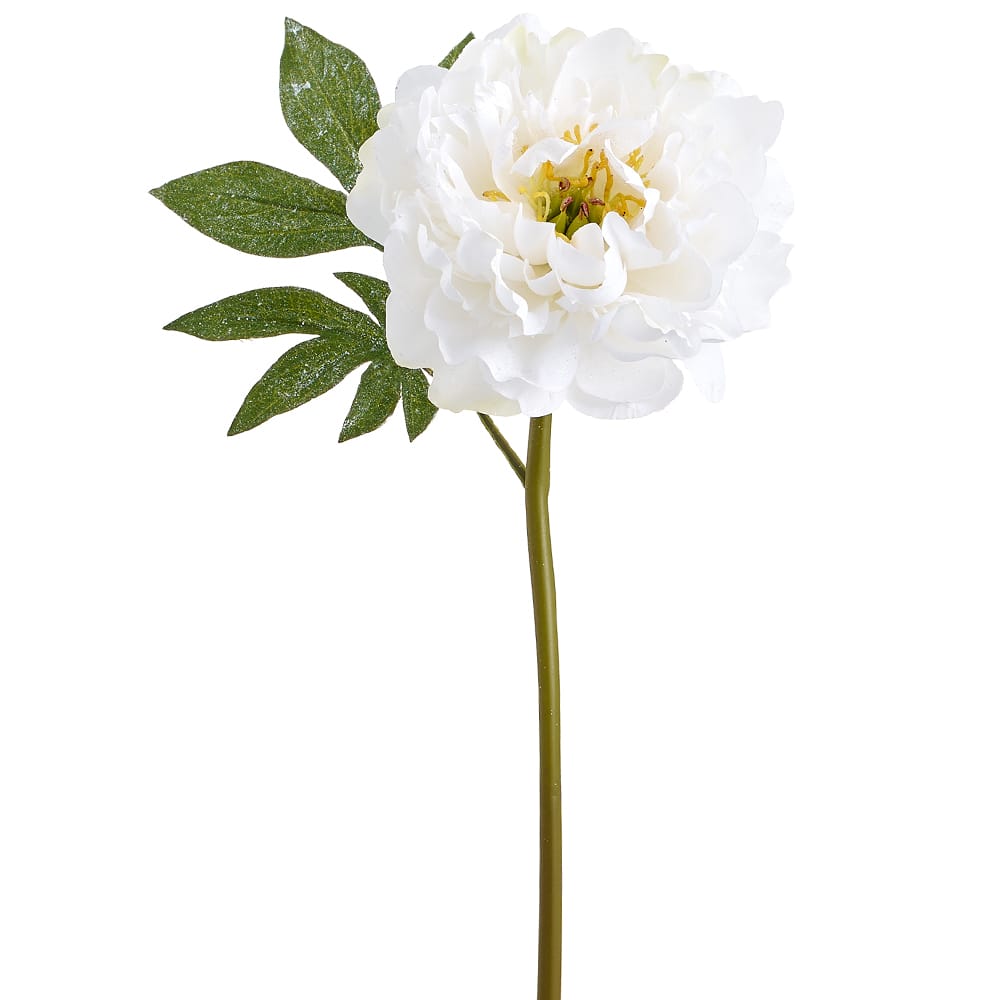 Christmas Peony Stems