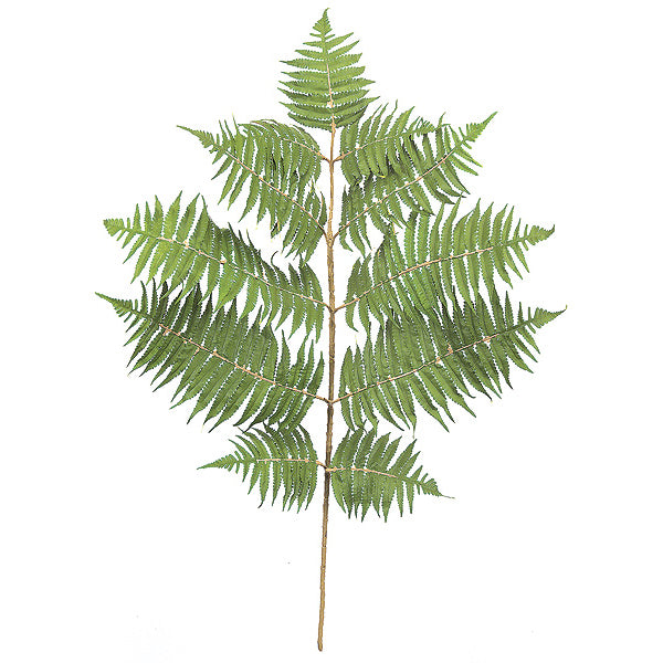 Silk Fern Stems Artificial Greenery Filler