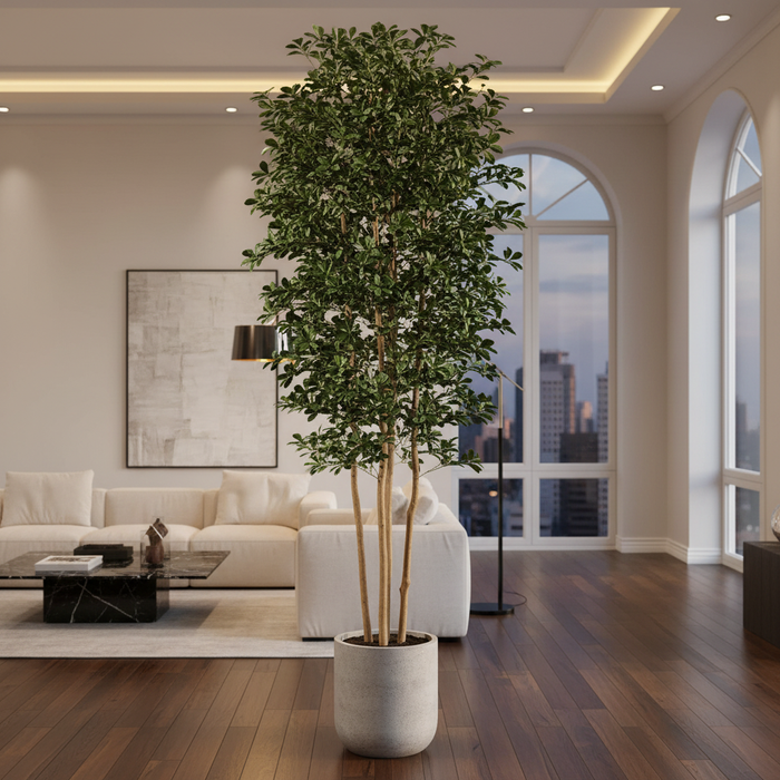 10ft Silk Black Olive Tree - Lifestyle