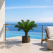 36"Hx44"W Custom-Made Outdoor UV-Proof Artificial Sago Cycas Cluster Palm -18 Fronds -Green - A0018