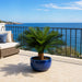 36"Hx44"W Custom-Made Outdoor UV-Proof Artificial Sago Cycas Cluster Palm -24 Fronds -Green - A0024