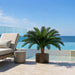 36"Hx44"W Custom-Made Outdoor UV-Proof Artificial Sago Cycas Cluster Palm -36 Fronds -Green - A0036