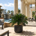 36"Hx44"W Custom-Made Outdoor UV-Proof Artificial Sago Cycas Cluster Palm -48 Fronds -Green - A0048