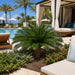 44"Hx68" Custom-Made Outdoor UV-Proof Artificial Sago Cycas Cluster Palm -36 Fronds -Green - A0085
