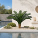 44"Hx68" Custom-Made Outdoor UV-Proof Artificial Sago Cycas Cluster Palm -18 Fronds -Green - A0088