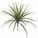26" Artificial Yucca Plant -Green/Red (pack of 6) - A104000