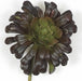 6"Hx5"W Aeonium Artificial Stem -Burgundy/Green (Pack of 12) - A110840