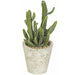 12.5" Mini Cactus Artificial Plant w/Ceramic Pot -Green (Pack of 2) - A110940