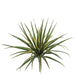 24" Yucca Artificial Plant -Green/Red (pack of 6) - A112183