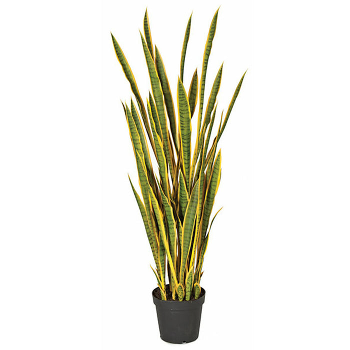 sansevieria snake artificial plant 5' Sansevieria Snake Artificial Plant w/Pot -Green/Yellow — Silks Are Forever